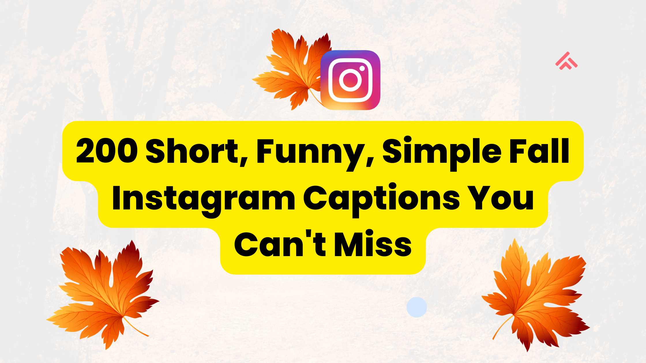 200 Short, funny , cool Fall Instagram Captions You Can't Miss
